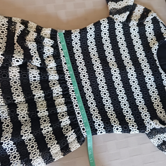 Alexis Amir Striped Crochet Pleated Dress - Picture 14 of 15